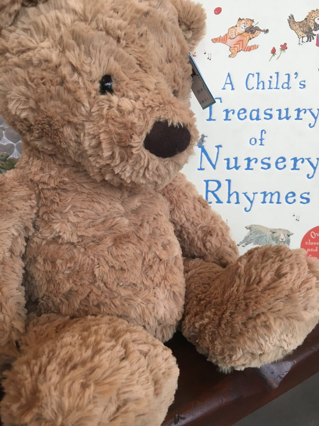 Child’s Treasury with Classic Bear